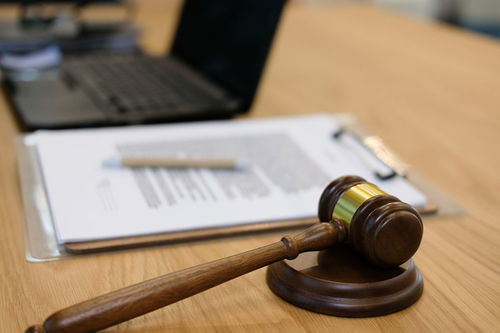 法律咨詢 您權利與義務的專業(yè)指南